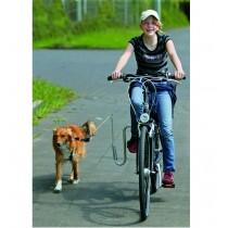 Doggy guide, veilig fietsen met je hond
